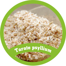 Tarate psylium